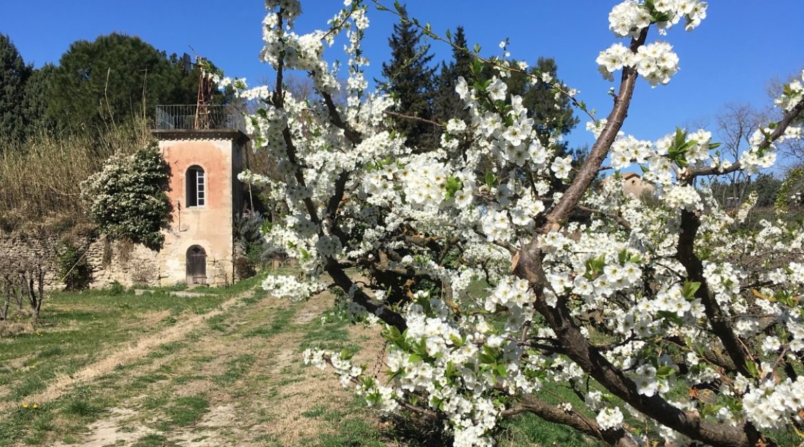 Domaine d’Escarvaillac