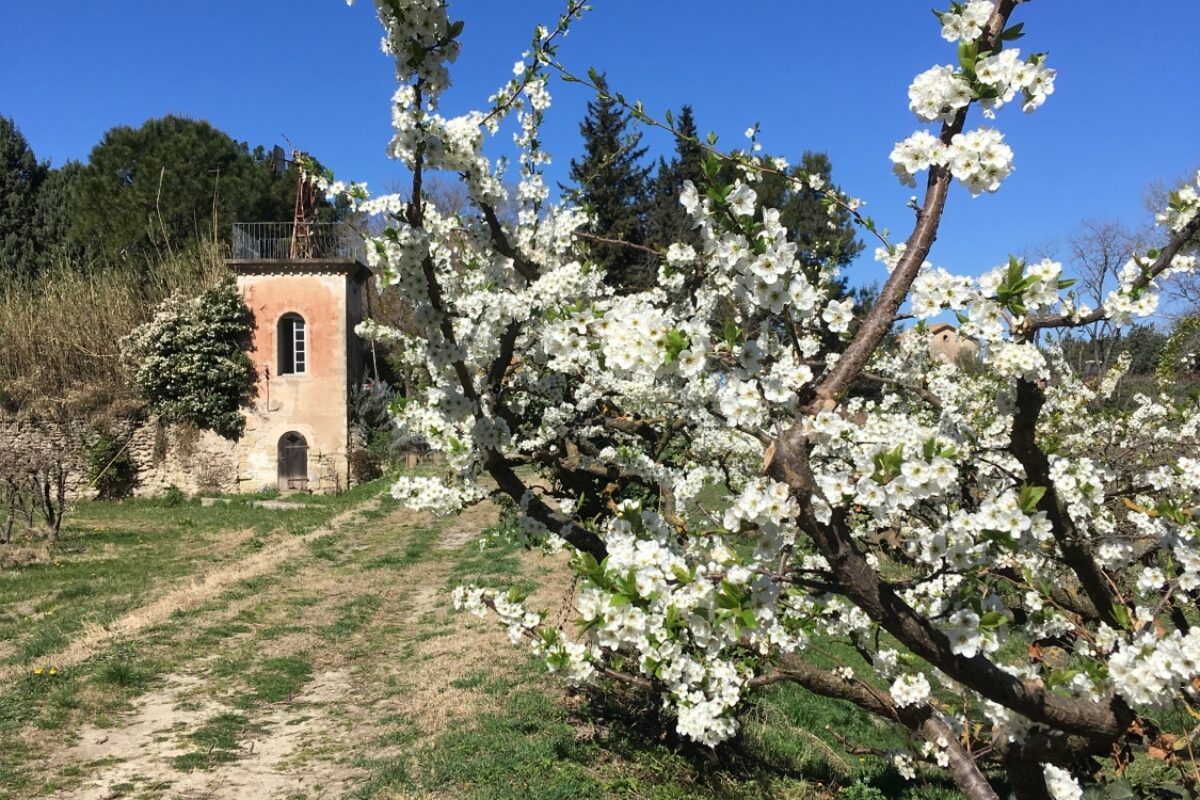 Domaine d’Escarvaillac